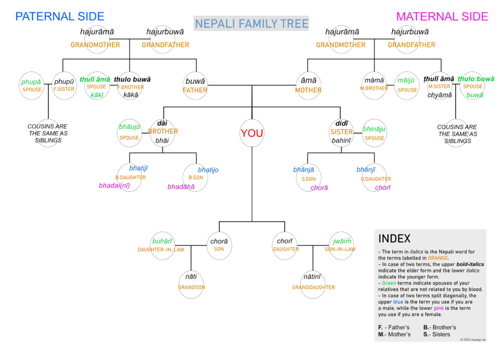 Extended family tree displaying vocabulary for familial relations (e.g. mother, uncle) in Nepali.