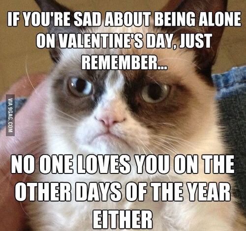 Cat Meme: If you're sad about being alone on Valentine's day, just remember... No one loves you on the other days of the year either